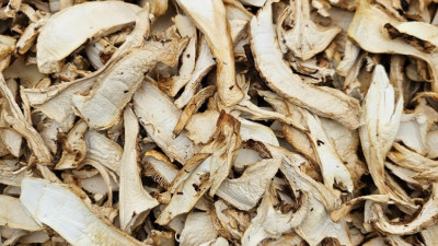 ✨ 프리미엄 말린 송이버섯 팝니다! ✨